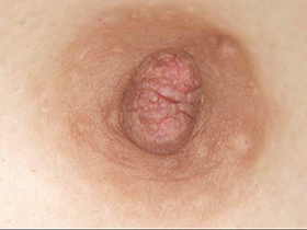 300人の乳首　4　サンプル画像12